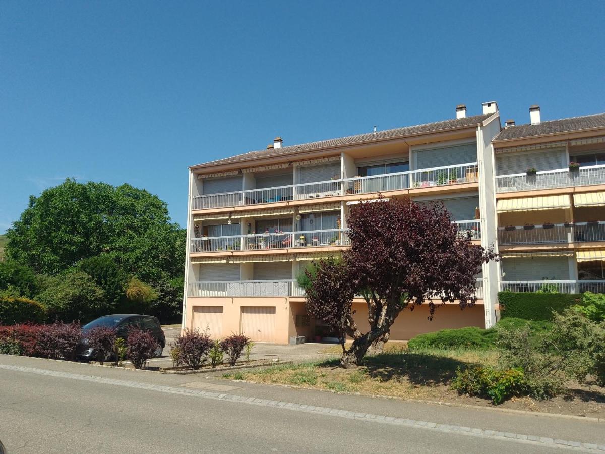 Appartement Avec Balcon : Le Serenity Тюркхайм Экстерьер фото